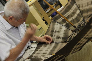 �����P�E�l